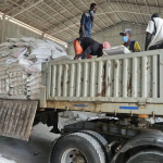 West Lime I - Gallery 5